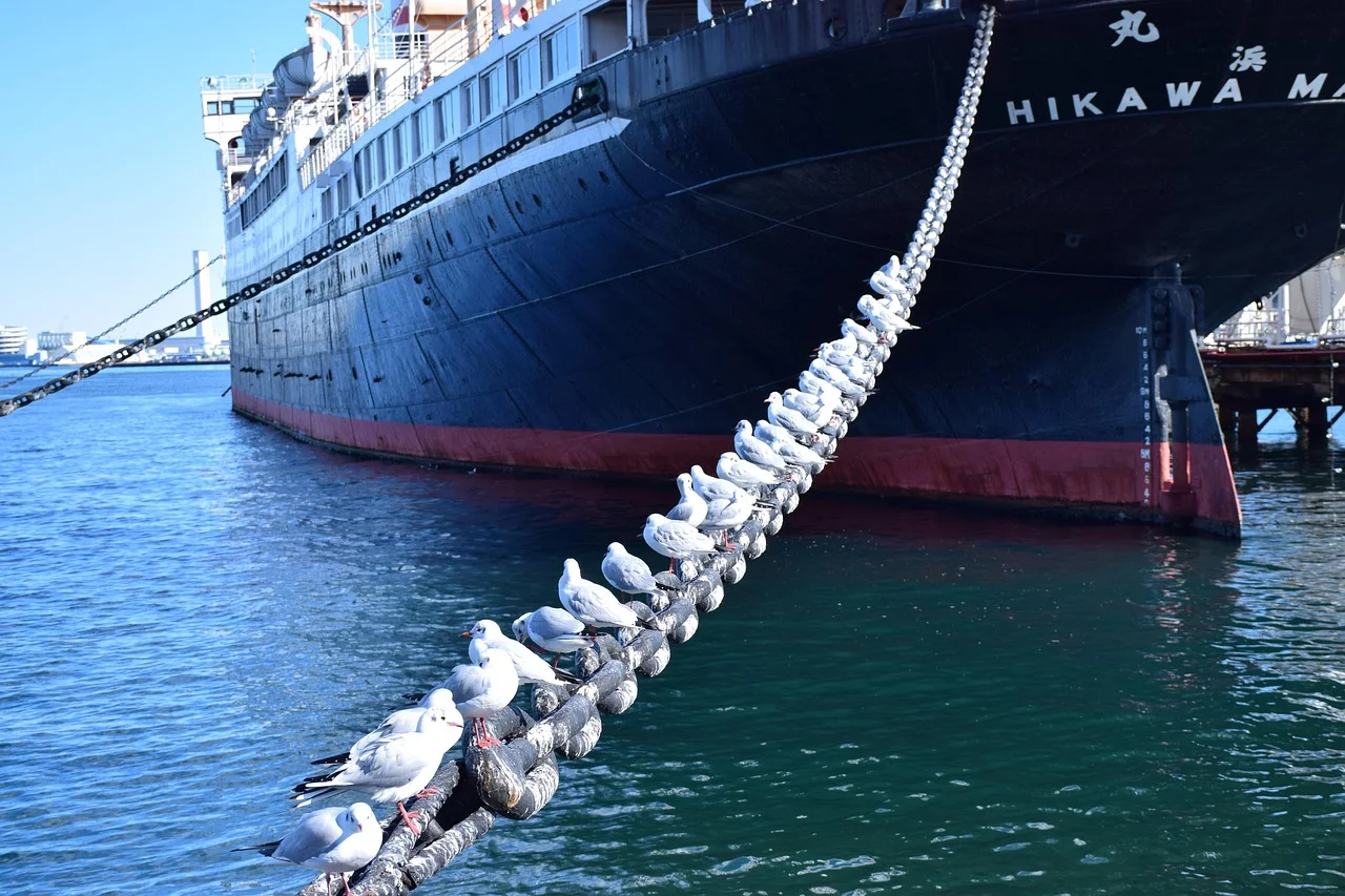 descripción de la imagen